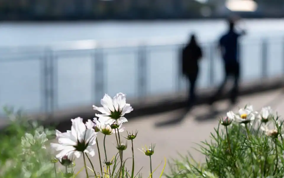 Finding Hope in Treatment: Understanding the Role of Partial Hospitalization Treatment