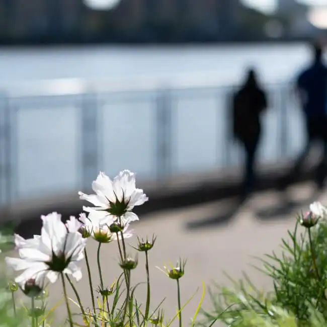 The Essential Guide to Aftercare in Addiction Treatment: Your Key to Long-Term Recovery